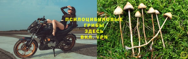 круглые Алексин