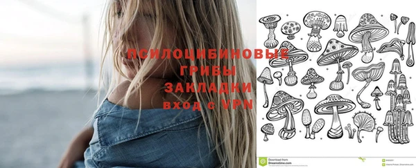 круглые Алексин